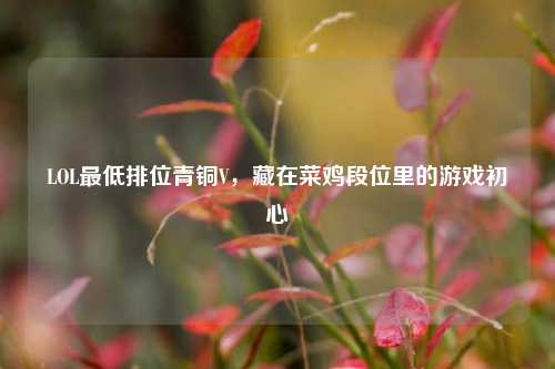 LOL更低排位青铜V，藏在菜鸡段位里的游戏初心