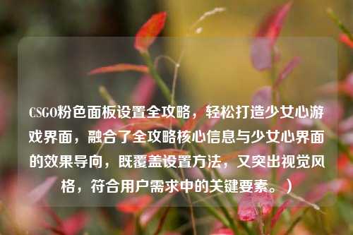 CSGO粉色面板设置全攻略，轻松打造少女心游戏界面，融合了全攻略核心信息与少女心界面的效果导向，既覆盖设置 *** ，又突出视觉风格，符合用户需求中的关键要素。）