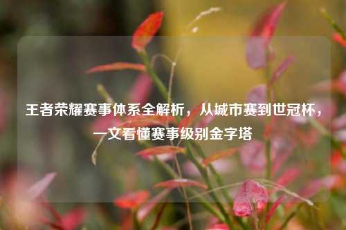 王者荣耀赛事体系全解析，从城市赛到世冠杯，一文看懂赛事级别金字塔