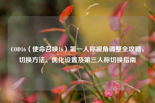 COD16（使命召唤16）之一人称视角调整全攻略，切换 *** 、优化设置及第三人称切换指南