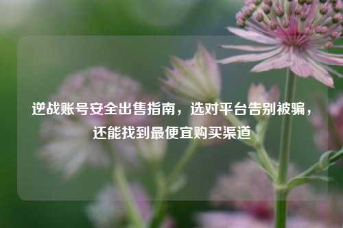 逆战账号安全出售指南，选对平台告别被骗，还能找到更便宜购买渠道