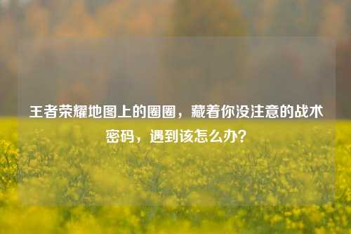 王者荣耀地图上的圈圈，藏着你没注意的战术密码，遇到该怎么办？