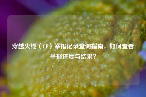 穿越火线（CF）举报记录查询指南，如何查看举报进度与结果？