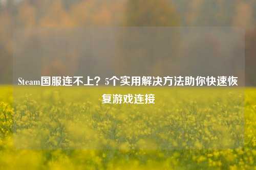 Steam国服连不上？5个实用解决 *** 助你快速恢复游戏连接