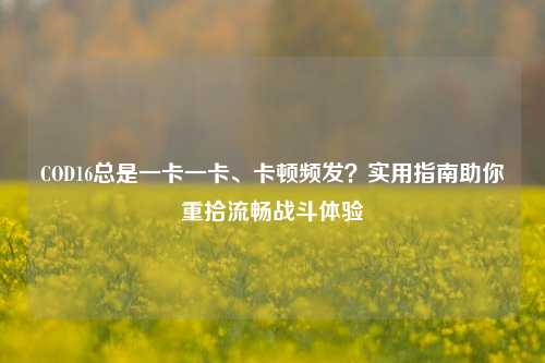 COD16总是一卡一卡、卡顿频发?实用指南助你重拾流畅战斗体验