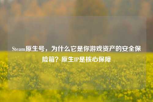 Steam原生号，为什么它是你游戏资产的安全保险箱？原生IP是核心保障