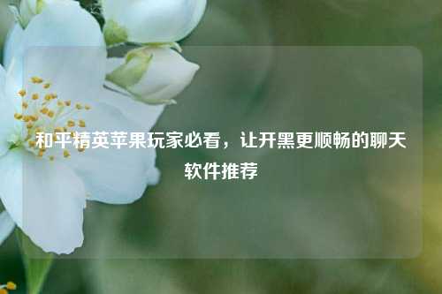 和平精英苹果玩家必看，让开黑更顺畅的聊天软件推荐