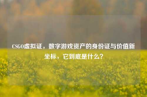 CSGO虚拟证，数字游戏资产的身份证与价值新坐标，它到底是什么？