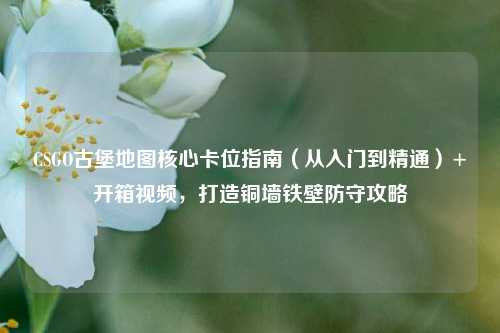 CSGO古堡地图核心卡位指南（从入门到精通）+开箱视频，打造铜墙铁壁防守攻略