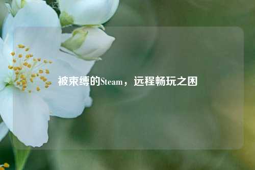 被束缚的Steam,远程畅玩之困