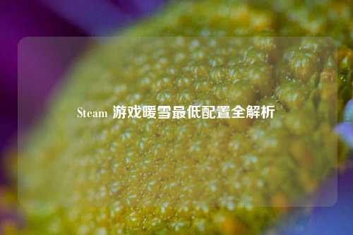 Steam 游戏暖雪更低配置全解析