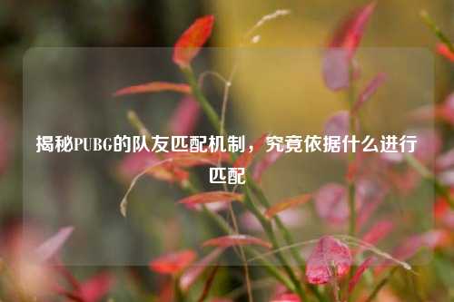 揭秘PUBG的队友匹配机制,究竟依据什么进行匹配