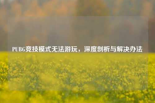 PUBG竞技模式无法游玩,深度剖析与解决办法
