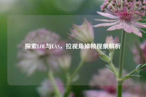 探索LOL与LAS，拉视角掉帧现象解析