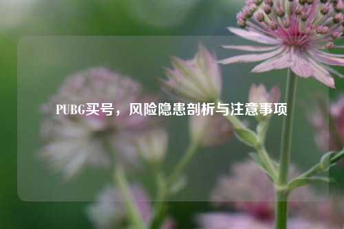 PUBG买号，风险隐患剖析与注意事项