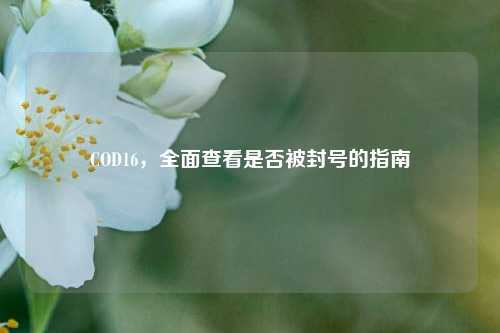COD16，全面查看是否被封号的指南