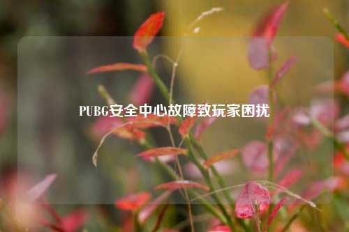 PUBG安全中心故障致玩家困扰