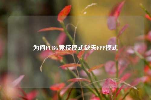 为何PUBG竞技模式缺失FPP模式