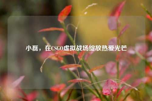 小磊，在CSGO虚拟战场绽放热爱光芒