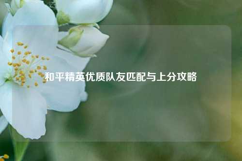 和平精英优质队友匹配与上分攻略