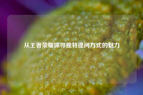 从王者荣耀探寻独特提问方式的魅力
