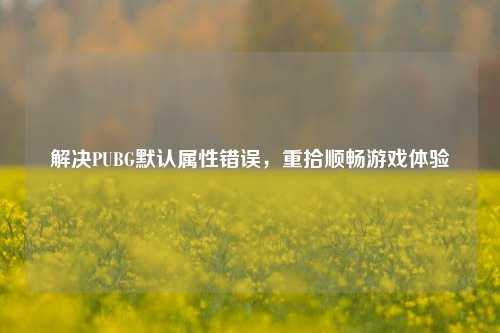 解决PUBG默认属性错误，重拾顺畅游戏体验