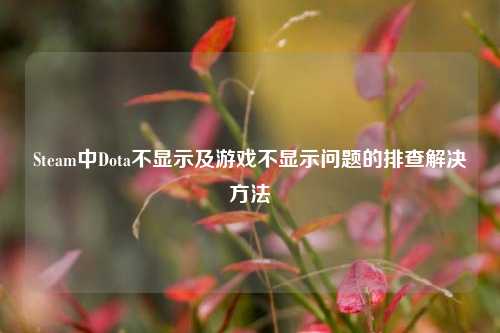 Steam中Dota不显示及游戏不显示问题的排查解决 *** 