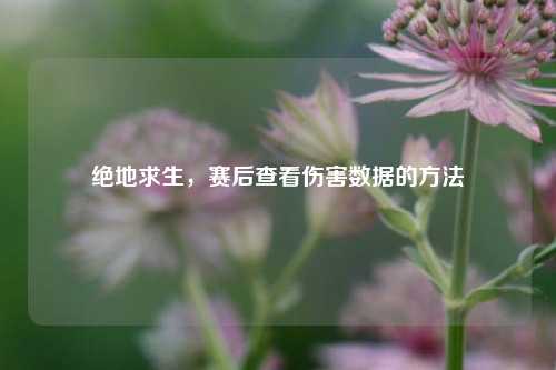 绝地求生，赛后查看伤害数据的 *** 