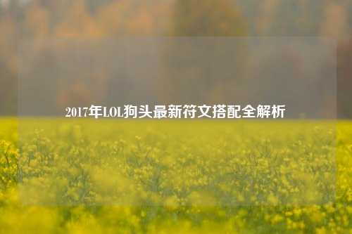 2017年LOL狗头最新符文搭配全解析
