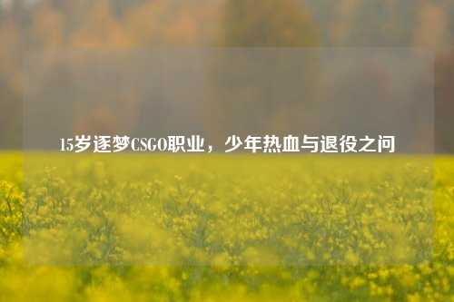 15岁逐梦CSGO职业，少年热血与退役之问