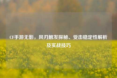 CF手游无影,风刃触发探秘、受击稳定性解析及实战技巧