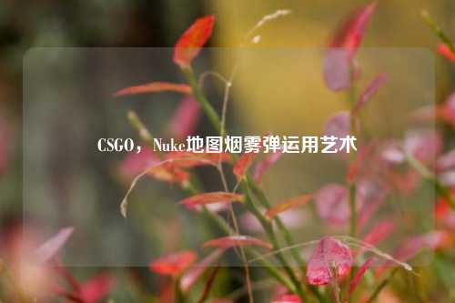 CSGO,Nuke地图烟雾弹运用艺术