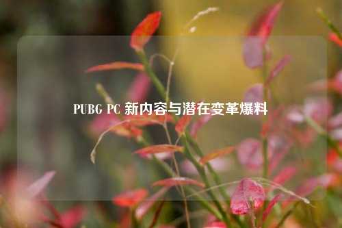 PUBG PC 新内容与潜在变革爆料