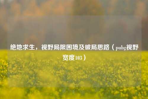 绝地求生,视野局限困境及破局思路(pubg视野宽度103)