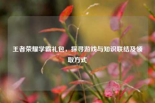 王者荣耀学霸礼包,探寻游戏与知识联结及领取方式