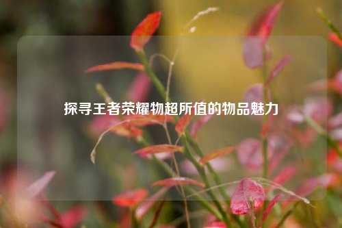 探寻王者荣耀物超所值的物品魅力