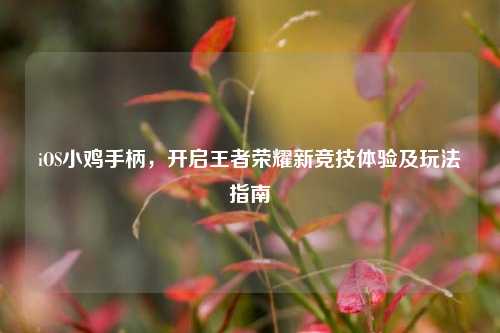 iOS小鸡手柄，开启王者荣耀新竞技体验及玩法指南