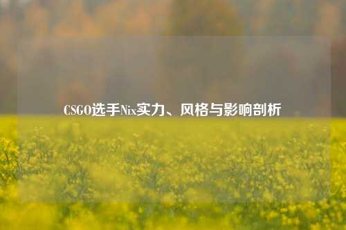 CSGO选手Nix实力、风格与影响剖析