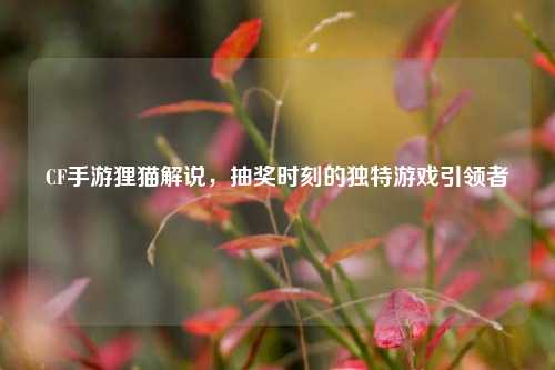 CF手游狸猫解说,抽奖时刻的独特游戏引领者