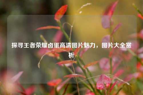探寻王者荣耀卤蛋高清图片魅力,图片大全赏析