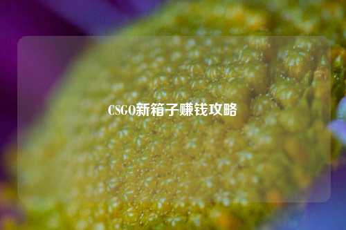 CSGO新箱子赚钱攻略