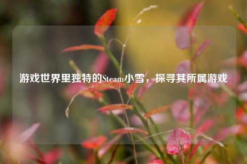 游戏世界里独特的Steam小雪,探寻其所属游戏