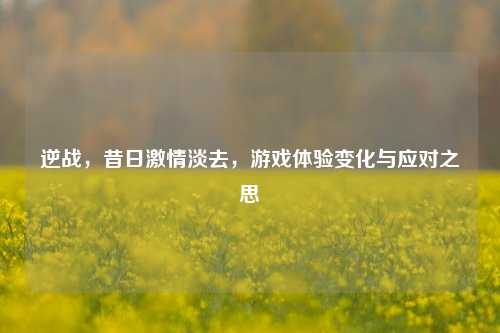 逆战，昔日***淡去，游戏体验变化与应对之思