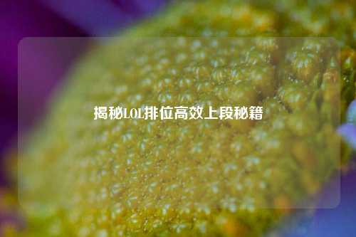 揭秘LOL排位高效上段秘籍