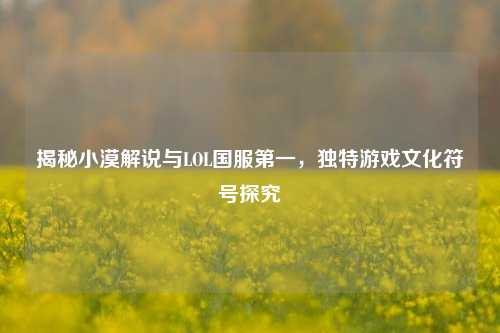 揭秘小漠解说与LOL国服之一,独特游戏文化符号探究