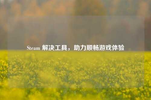 Steam 解决工具,助力顺畅游戏体验