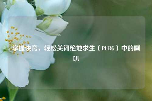 掌握诀窍,轻松关闭绝地求生(PUBG)中的喇叭