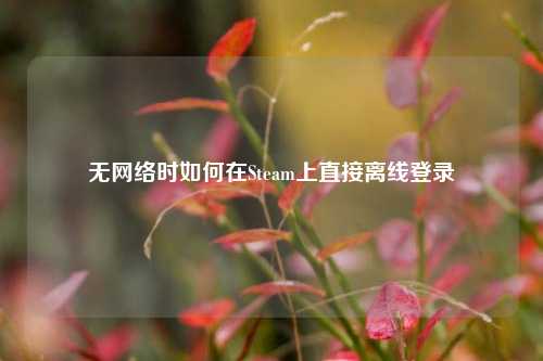 无网络时如何在Steam上直接离线登录