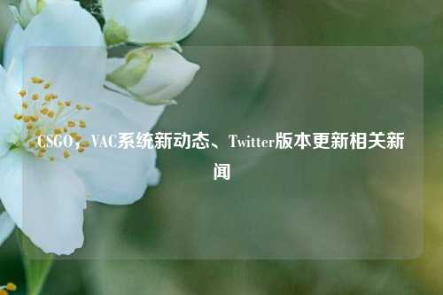 CSGO,VAC系统新动态、Twitter版本更新相关新闻