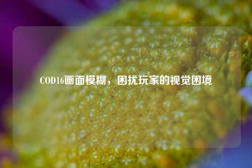 COD16画面模糊，困扰玩家的视觉困境